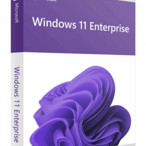Windows 11 Enterprise 32/64-bit